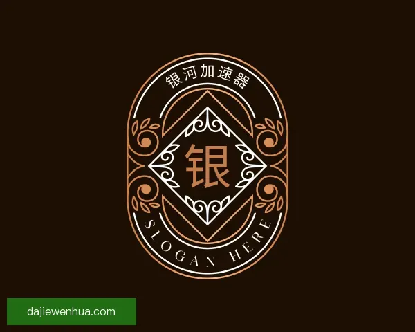 关于银河vnp
